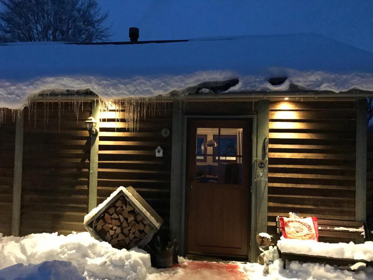 Chalet Le Grand Cerf 比林根 外观 照片
